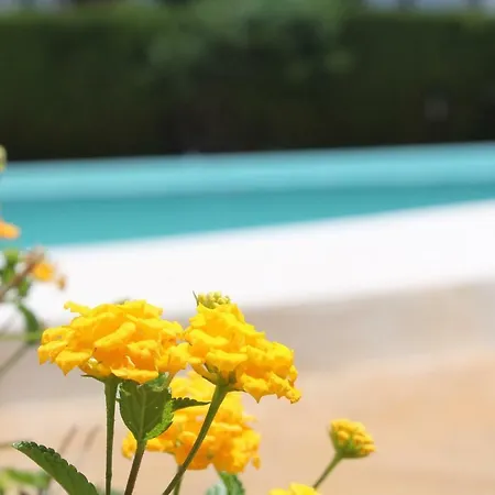 Holiday home Rooftop - Chalet En Cabo Pino Con Vistas Al Mar, Jardines Y Piscina Marbella